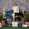 What a lot of loot!  Patrick had a fabulous haul at the 2011 CCA National!  